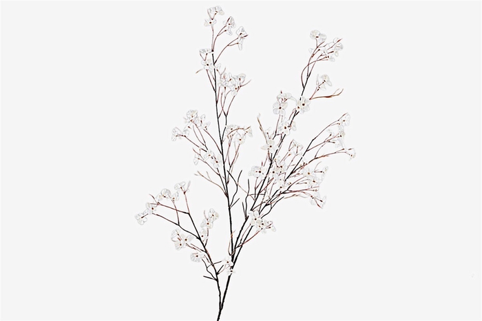 <h4>Blossom Spray Beige</h4>
