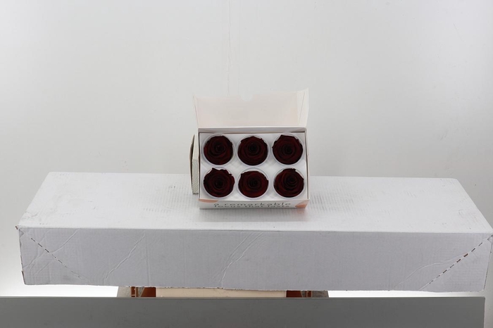 <h4>Rosa Preser. Dark Red Amber</h4>