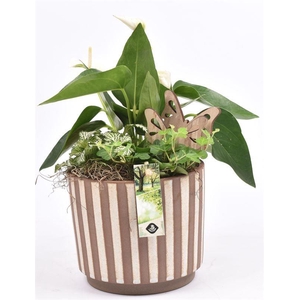 Keramiek safari look 18cm