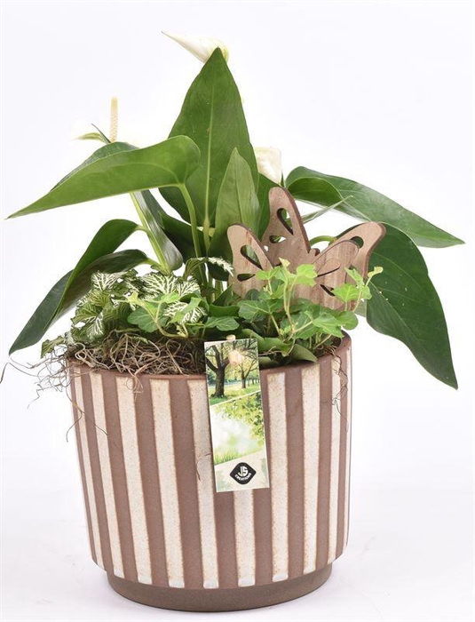 <h4>Keramiek safari look 18cm</h4>