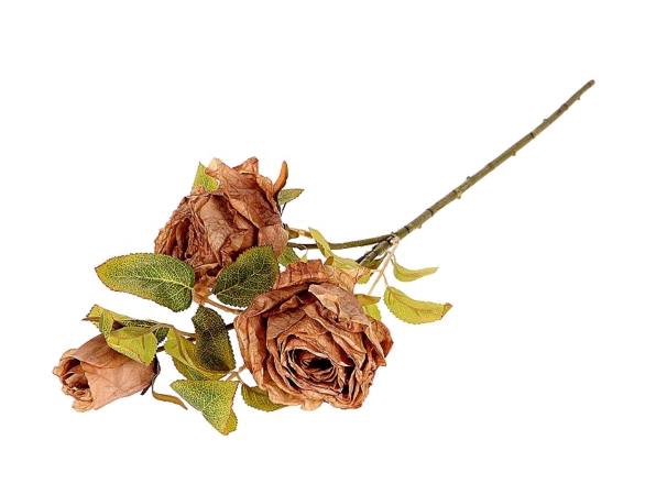 Branch Rosa Horta L66