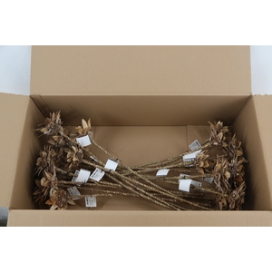 Stick Dahlia Spider Naturel