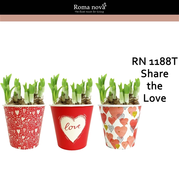 <h4>1188T - Share the Love (Tete a Tete)</h4>