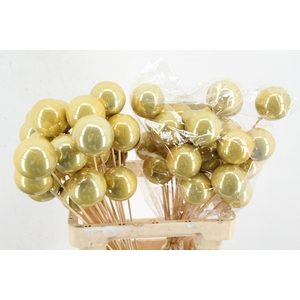 Stick Ball C. Ø6 Gold Pearl