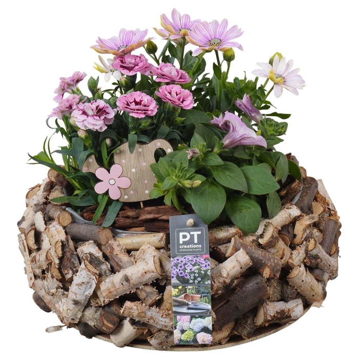 <h4>Arr.   Perkplanten H%</h4>