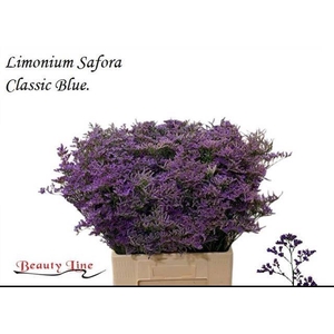 LIM SAF CLASSIC BLUE