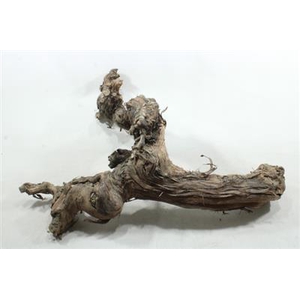 50CM DRIJFSTRONK IN KIST