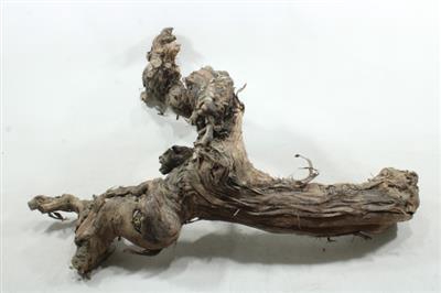 <h4>50CM DRIJFSTRONK IN KIST</h4>