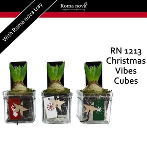 1213 - Christmas Vibes Cubes (Hyacint)