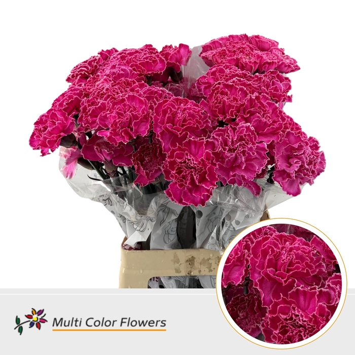 <h4>DI St Hot Pink</h4>