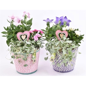 Hout pot paars/roze mix 18cm