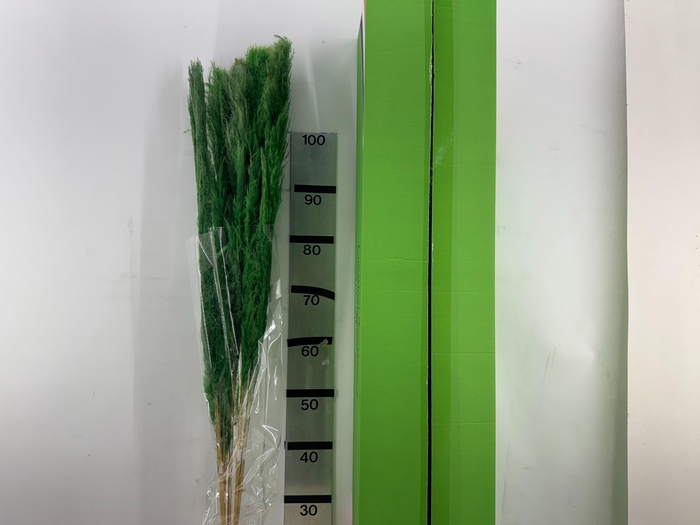 <h4>HUIS EN TUINDECO H%</h4>