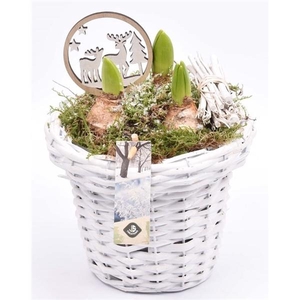 Wilg bloempot wit 18cm