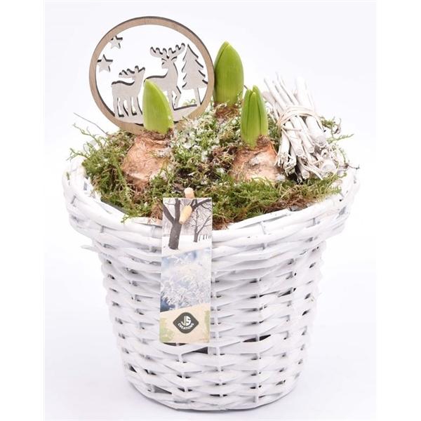 <h4>Wilg bloempot wit 18cm</h4>