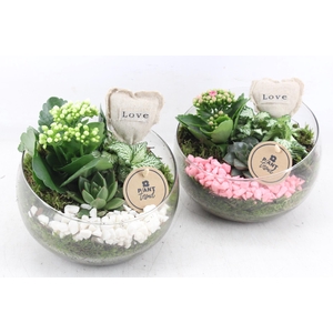 arr2 PL - Glas bol schuin Hart - roze/wit