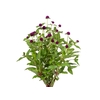 PERPETUA 050 CM ROXO