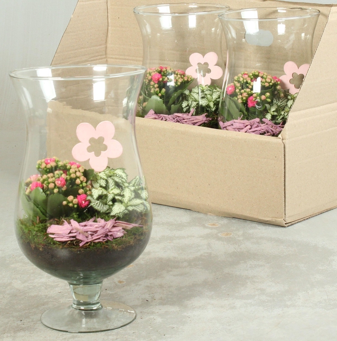 <h4>ARR KAMERPL</h4>