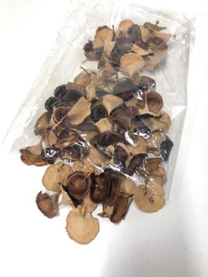 <h4>K9.GOLDEN MUSHROOM M</h4>