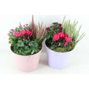 arr4 Outdoor PL - Zink emmer colour x3