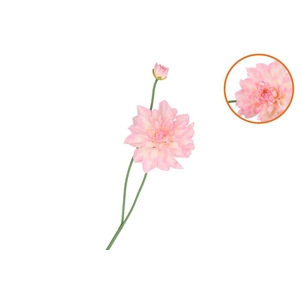 Silk Dahlia Spike White/light Pink 78cm Nm