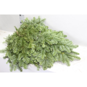 ABIES NOB BLAUW KILO