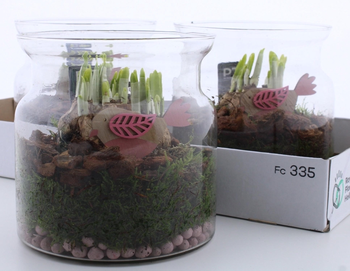 <h4>ARR N TETE A TETE</h4>