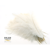 Dried Ostrich Feather White Big