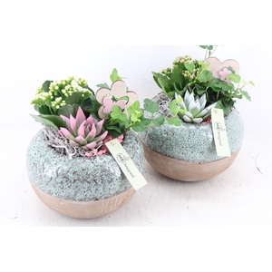 arr2 MB - Ker. bolpot luxe green - roze/wit