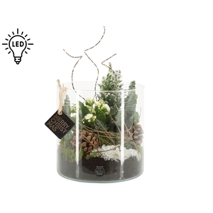 61714: X-mas arrangement met LED