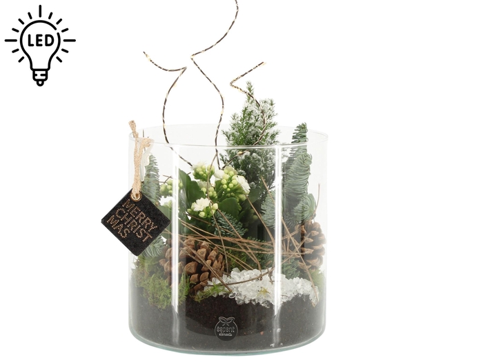 <h4>61714: X-mas arrangement met LED</h4>