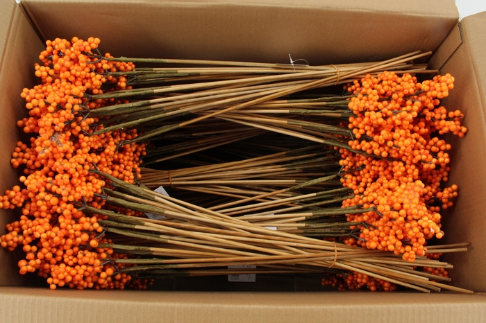 <h4>Stick Berries Ilex Orange</h4>