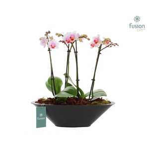 Rond pot op pootjes FC22.0707