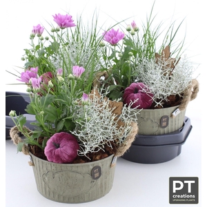 ARR TUINPLANTEN