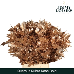 Quercus Rubra L80 Rose gold