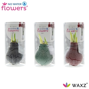 No Water Flowers Waxz® Marble in Koker