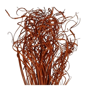 Curly TingTing 70cm 200g