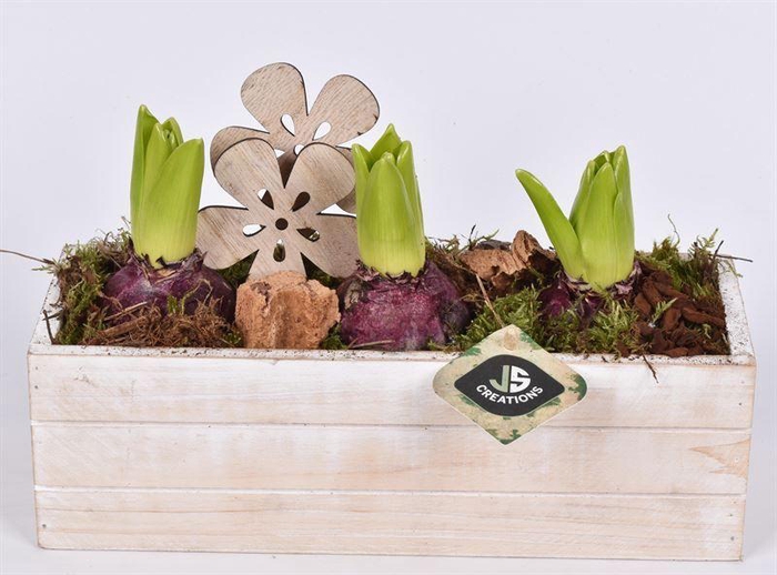 <h4>Hout rechthoek 27x9.5 white wash</h4>