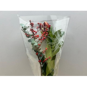 Boeket Amaryllis + Ilex Rood