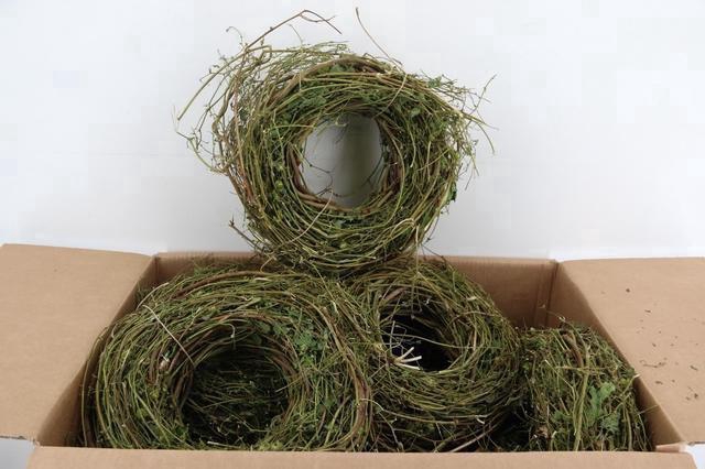 <h4>Wreath Hop Branches Ø25</h4>