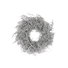 Wreath Asparagus Glitter D30