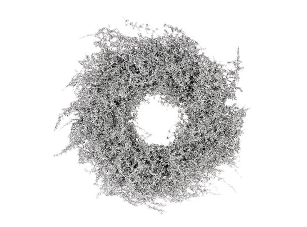 Wreath Asparagus Glitter D30