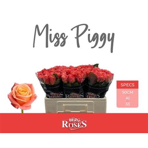 R Gr Miss Piggy+