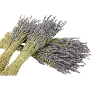 Bunch Lavendel Slv 100g L40