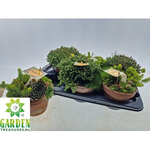 ARR TUINPLANTEN