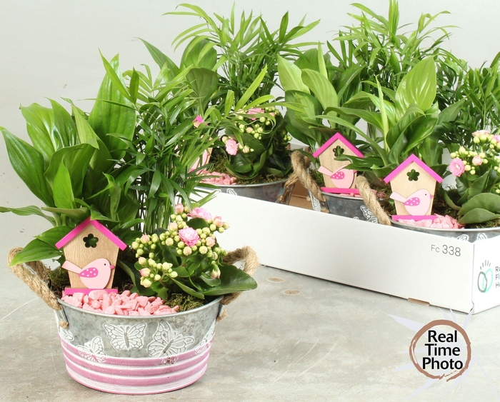 <h4>ARR KAMERPL</h4>