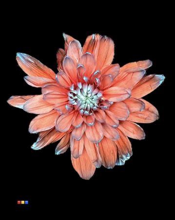 <h4>Chr T 2 Kl Baltica Bazooka</h4>