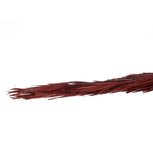 DRY KHAJUR PALM BORDO