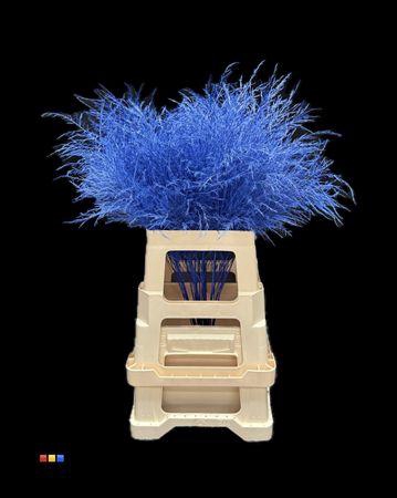 <h4>Treefern Blue</h4>