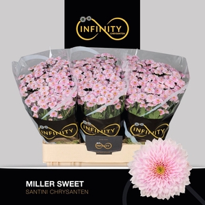 CHR S MILLER SWEET