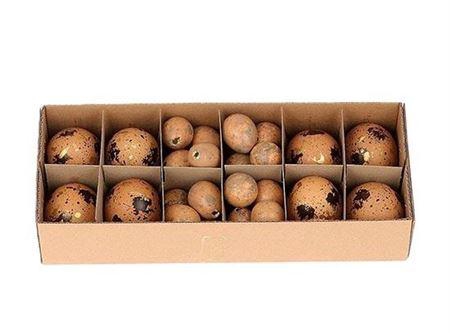 <h4>Egg Combi 8 Chicken 24 Quail L28w11h7</h4>